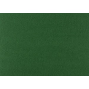Cartolina CLA 250grs 50x65cm, verde forte , 3C, Fl.