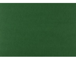 Cartolina CLA 250grs 50x65cm, verde forte , 3C, Fl.