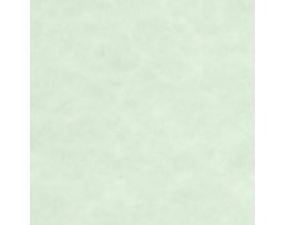 Papel Laguna (Pergaminho) 180 grs. A4, 50F. Verde (209)