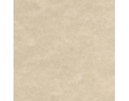 Papel Laguna (Pergaminho) 180 grs. A4, 10F. Cst. claro (204)