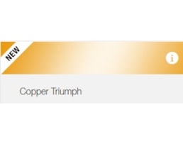 Tinta Spray MTN 94, 400 ml, RV-128, Cobre Triunfo