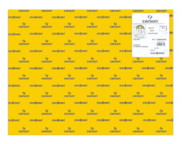 Cartolina Iris 50x65cm 240g R.040358, 25Fls.(5) Am. torrado
