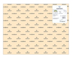Cartolina Iris 50x65cm 240g R.109812, (83) 25F Casca de Ovo