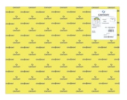 Cartolina Iris 50x65 240g. Ref.109818, (88), 25F. Kiwi