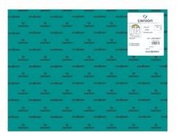 Cartolina Iris 50x65 240g. R.109817, (87), 25F. Verde Menta