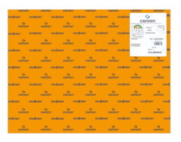 Cartolina Iris 50x65 240g. R.040361, (8), 25F. Clementina