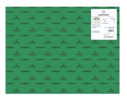 Cartolina Iris 50x65 240g. R.040383, (30), 25F. Verde Abeto