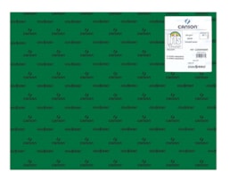 Cartolina Iris 50x65 240g. R.040384, (31), 25F. Vde Amazonas