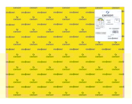 Cartolina Iris 50x65 240g. R.040357, (4), 25F. Am. Canário