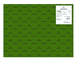 Cartolina Iris 50x65 240g. R.109819, (89), 25F. Verde Safari