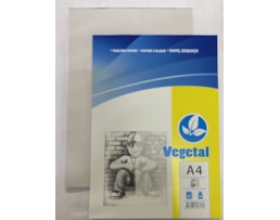 Caderno A4 Vegetal 90g, 50fls