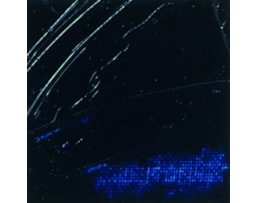 Óleo Pebeo XL Fine, 37ml, Azul Prussia (10)