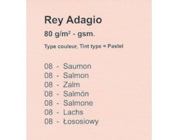 Papel Fotocopia Adagio A4 80g Rs. 500 fls, Salmão-91