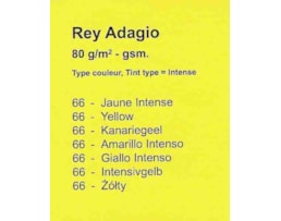 Papel Fotocopia Adagio A4 80g, Res.500 fls Am. Intenso -66