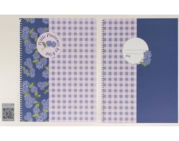 Caderno A5 Ancor Espiral , C/D, 80F/90g, B`Log Provence-26 P