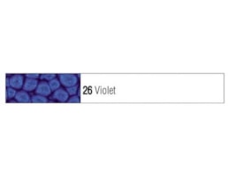 Tinta Pebeo Fantasy Prisme, Refª 8166026, 45ml, Roxo