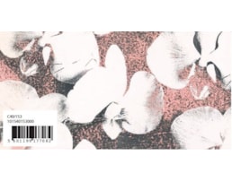 Papel Fantasia 70x100, Cl. W. Flower, c/25 Fls., C40/153