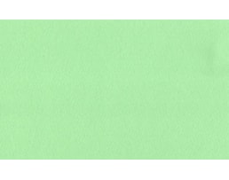 Cartolina Sadipal Liso/Rugoso 50x70cm 220grs. R710, Verde Ps