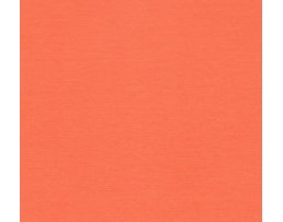 Cartolina Sadipal Liso/Rugoso 50x70cm 220grs. R726, Aragosta