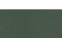 Cartolina Sadipal Liso/Rugoso 50x70cm 220grs. R728, Verdone