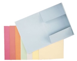 Dossier Cart. Esselte c/3 Abas A4 Lomb 2 cms 1033313 laranja