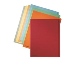 Dossier Cartolina (Sub-capa) Esselte A4 Refª 1033402 Azul