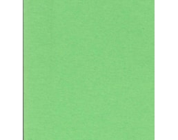 Cartolina Iris 185grs A4 Refª 040172, c/50 Fls. Verde Bilhar