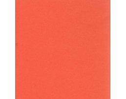 Cartolina Iris 50x65 240grs. Ref 040362, Laranja