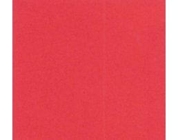 Cartolina Iris 50x65 240grs Ref. 040367, Tomate
