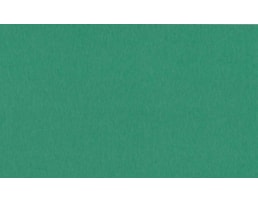 Cartolina Iris 50x65 240grs, Ref. 040383, Verde Abeto/musgo