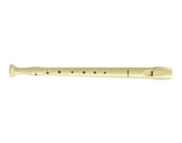 Flauta Plastico HOHNER