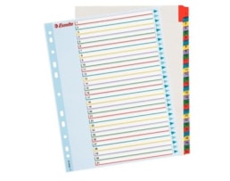 Indice Esselte A4 Maxi Cartolina 1/31 Ref.100210