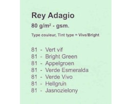 Papel Fotocopia Adagio A4 80g Verde Esmeralda -81,Rs. 500fls