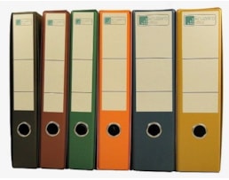 Pasta Arquivo Kruzeiro c/ Cx. Armada 310/40C Laranja