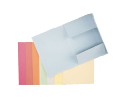 Dossier Cart. Esselte c/3 Abas A4 Lomb. 2 cms 1033302 Az.