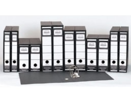 Pasta Arquivo Ancor 350/60 AW60 c/ Cxa.