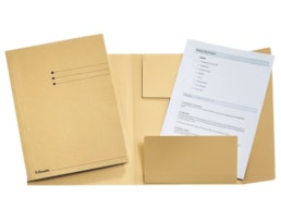 Dossier Cart. Esselte c/3 Abas A4 Lomb. 2 cms 1033304 Bege