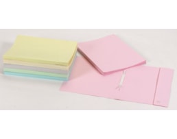 Dossier cartolina 250g Ancor, refª25C c/aba e ferragem Rosa