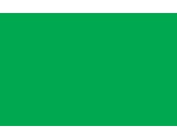 Película Autocolante DC Fix Brilho 45cmX15m 200-2423 verde