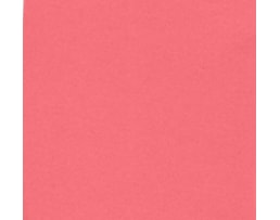 Cartolina Iris 50x65 240grs. Refª 109813, Coral, 84