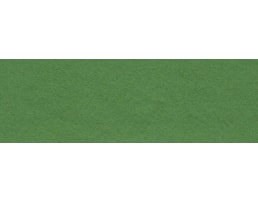 Feltro 1,5mm 20x30cm  Pack c/10 Fls Ref 4158 VD.E