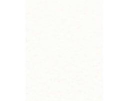 Papel Laguna (Pergaminho) 180 grs. A4 emb. c/50Fls. Areia