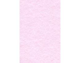 Papel Laguna (Pergaminho) 180 grs. A4 emb. c/50Fls. Rosa